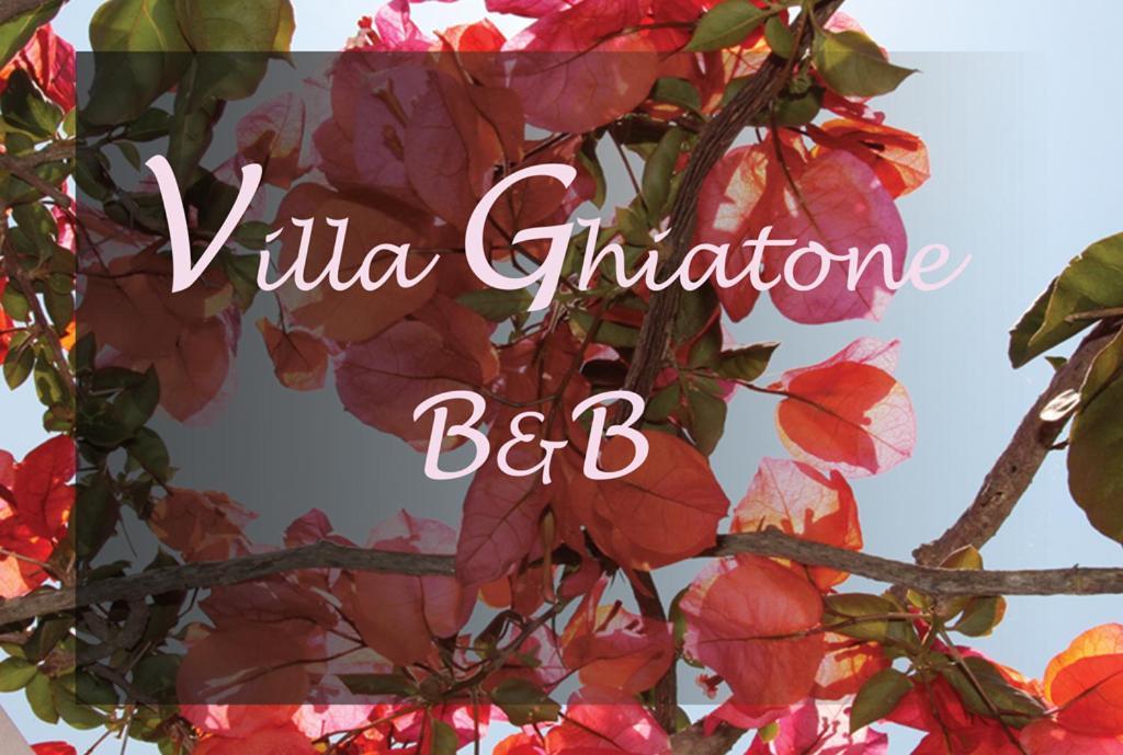 Villa Ghiatone Pietrosella Esterno foto